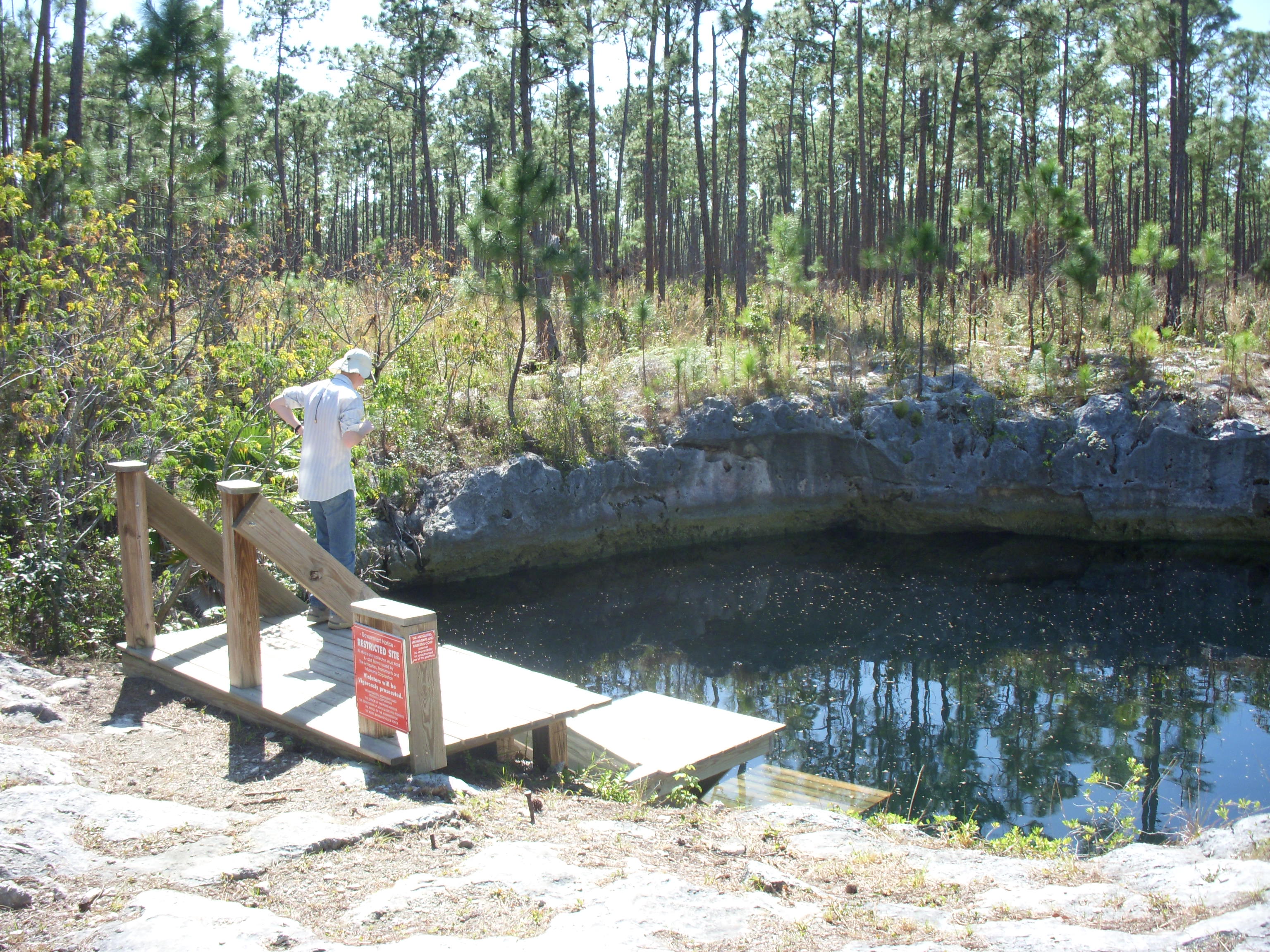 Sawmill Sink blue hole