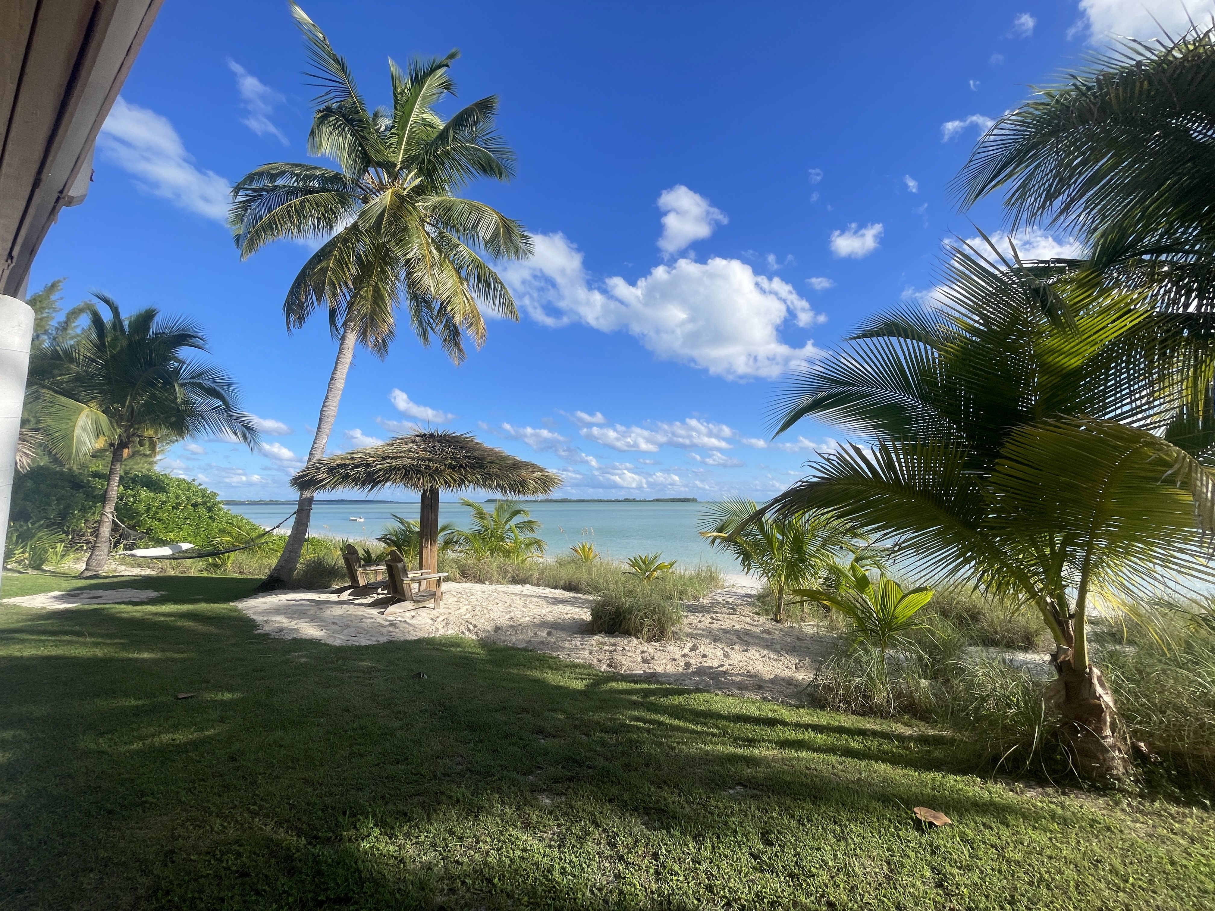 The beachside yard at Abaco Palms
