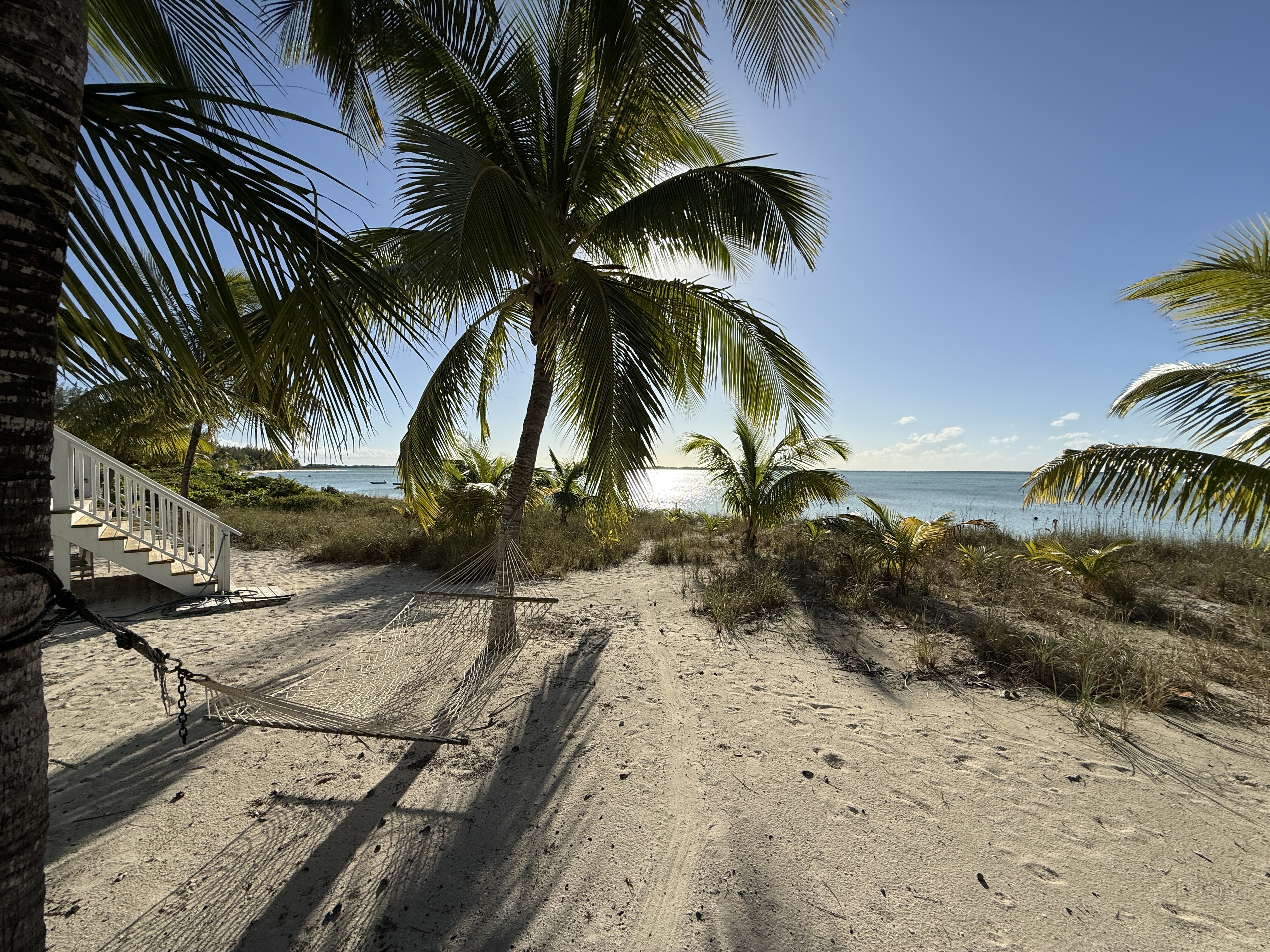 The hammock under the palms at Calypso