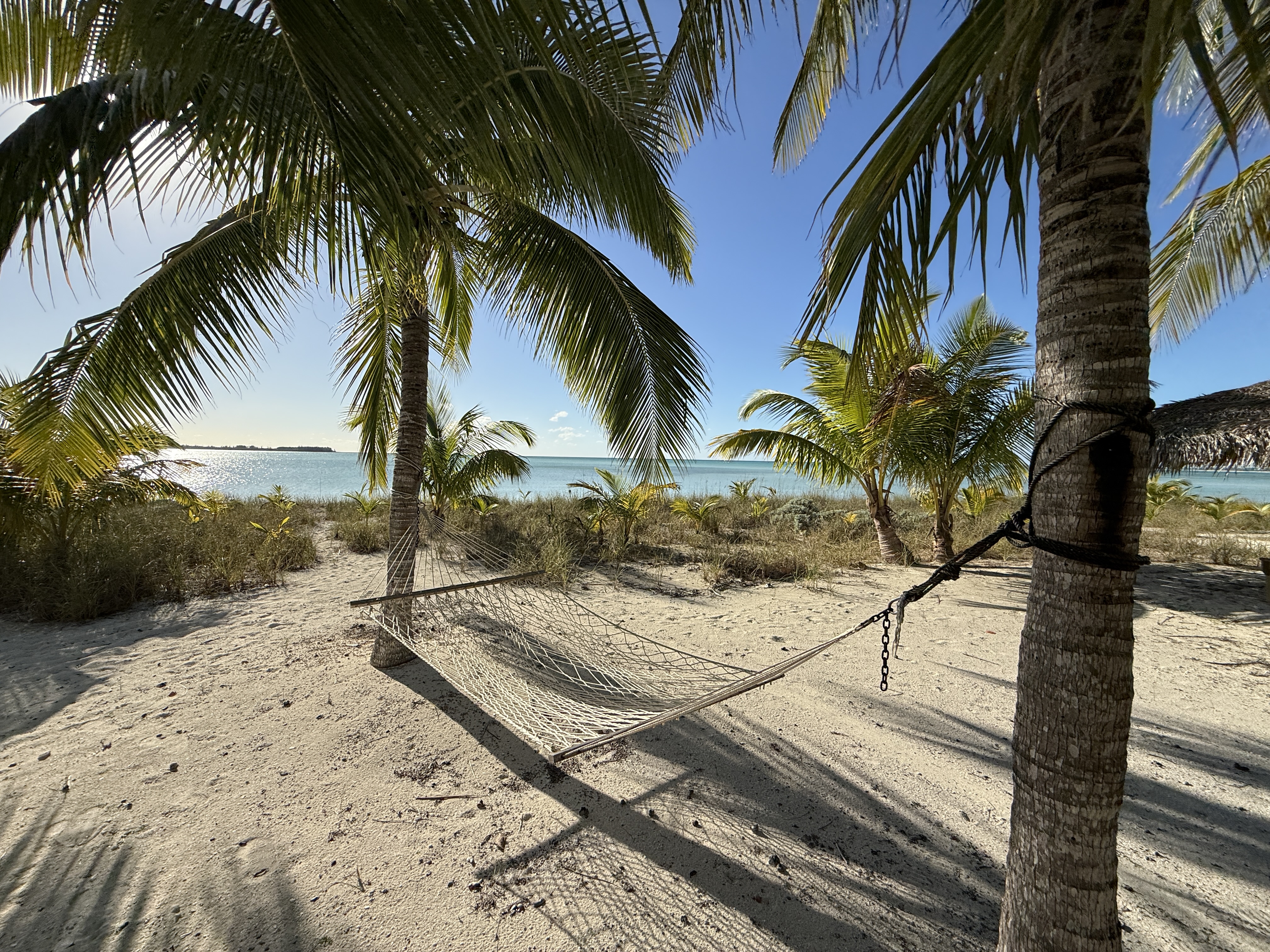 The hammock is a great place to relax on the beach at Calypso