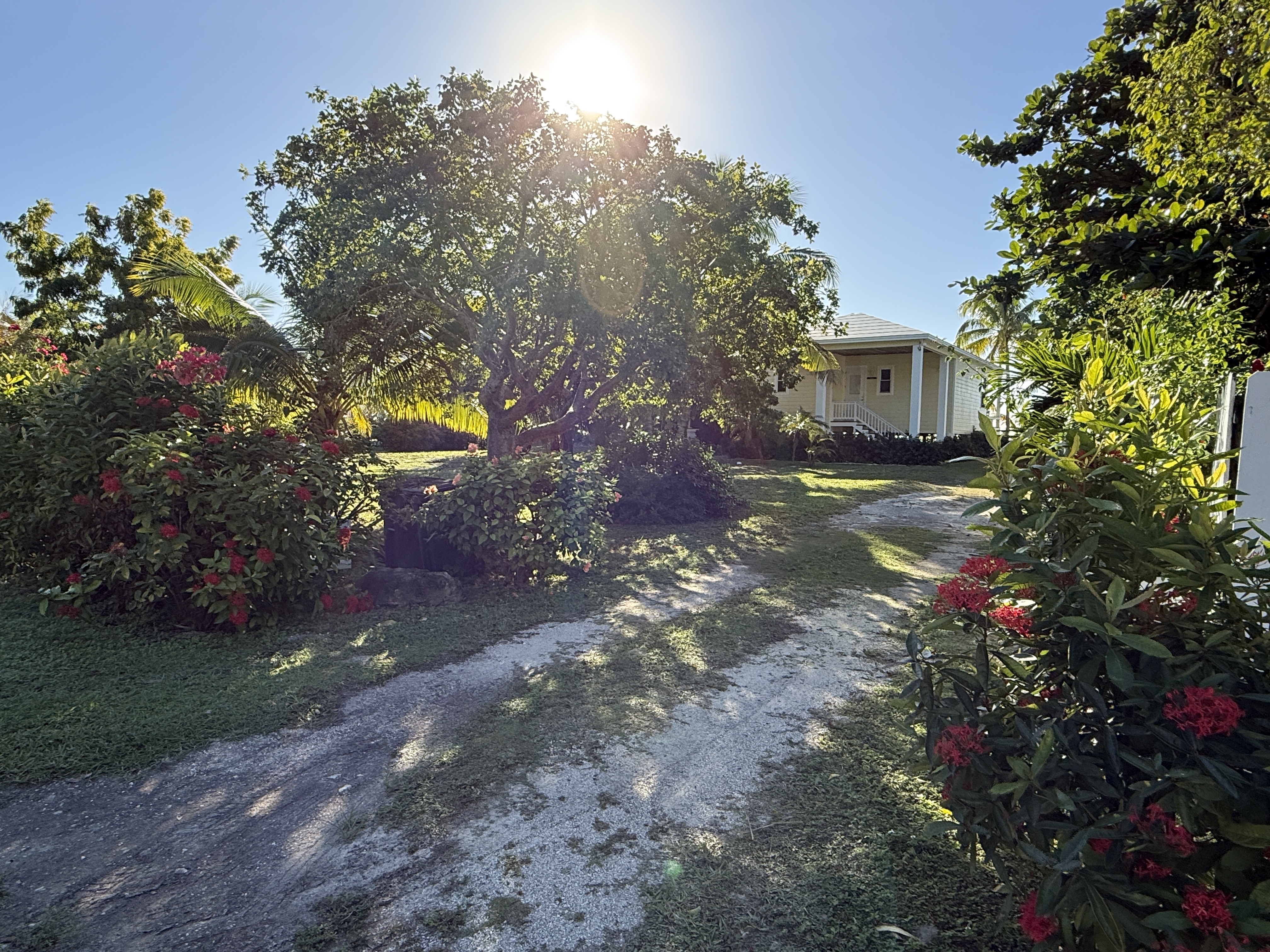 Driveway approach through tropical landscaping at Kokomo