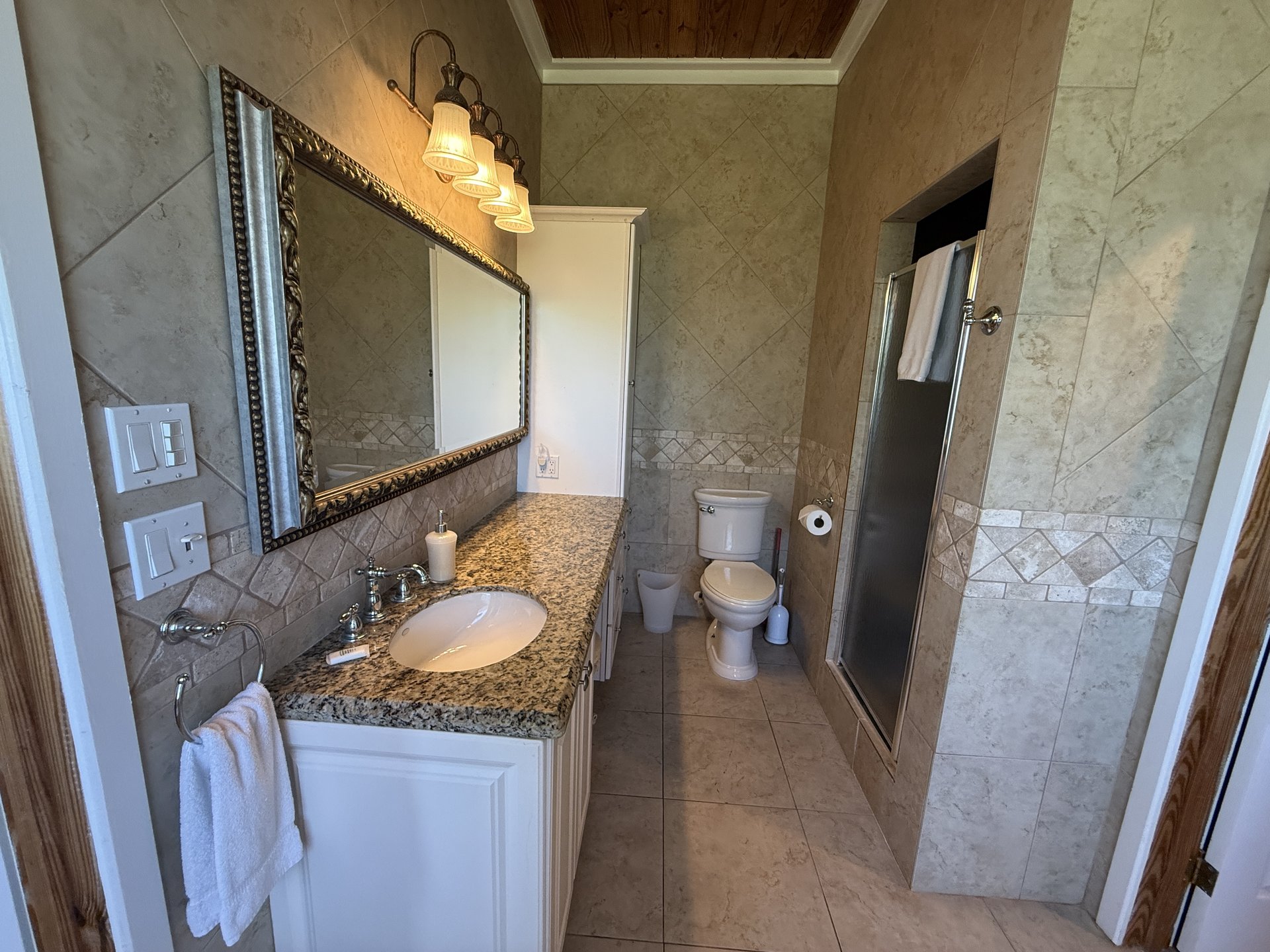 East Master Suite en-suite with granite vanity and walk-in shower