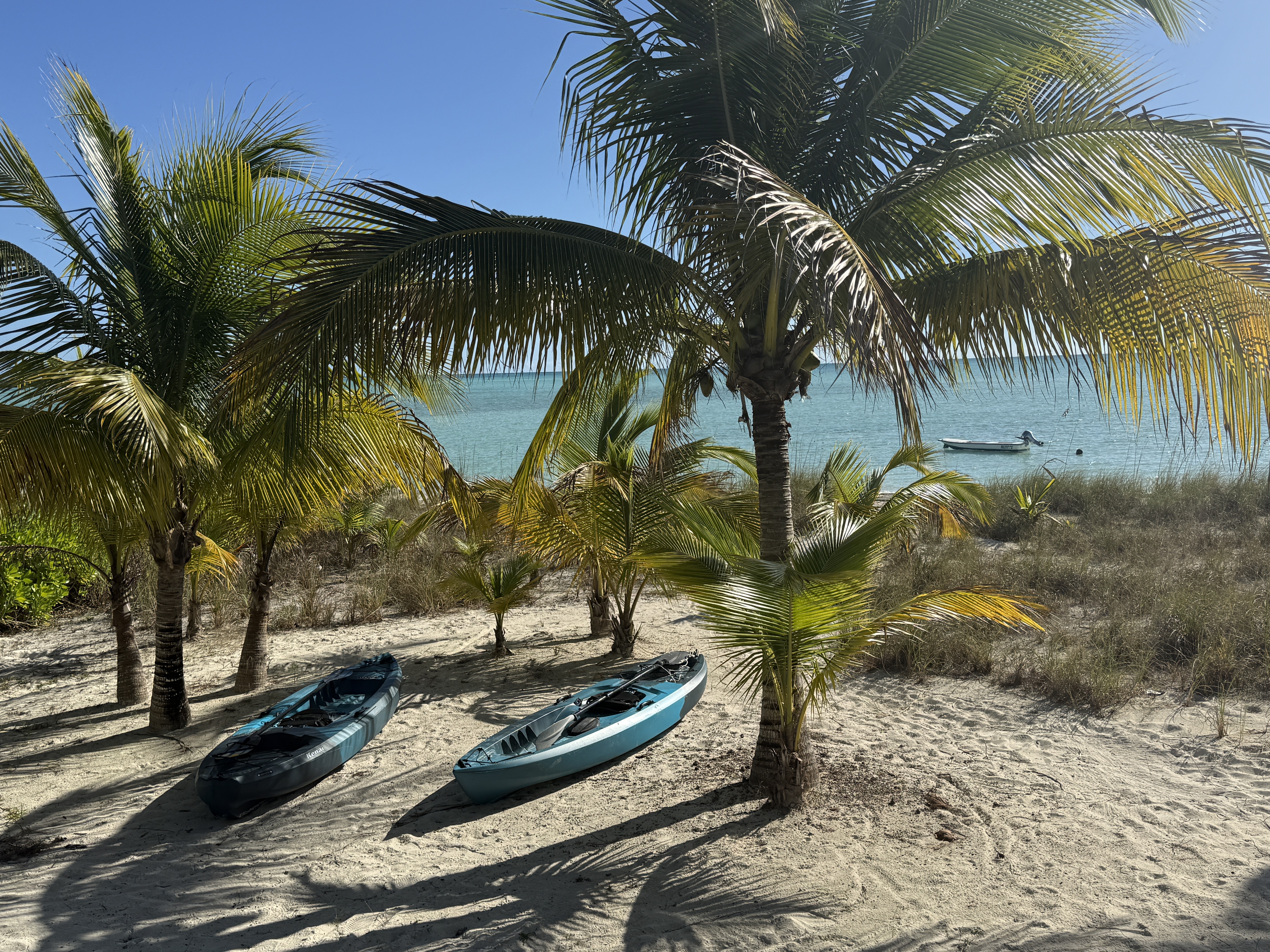 Two kayaks ready for exploring Casuarina Point