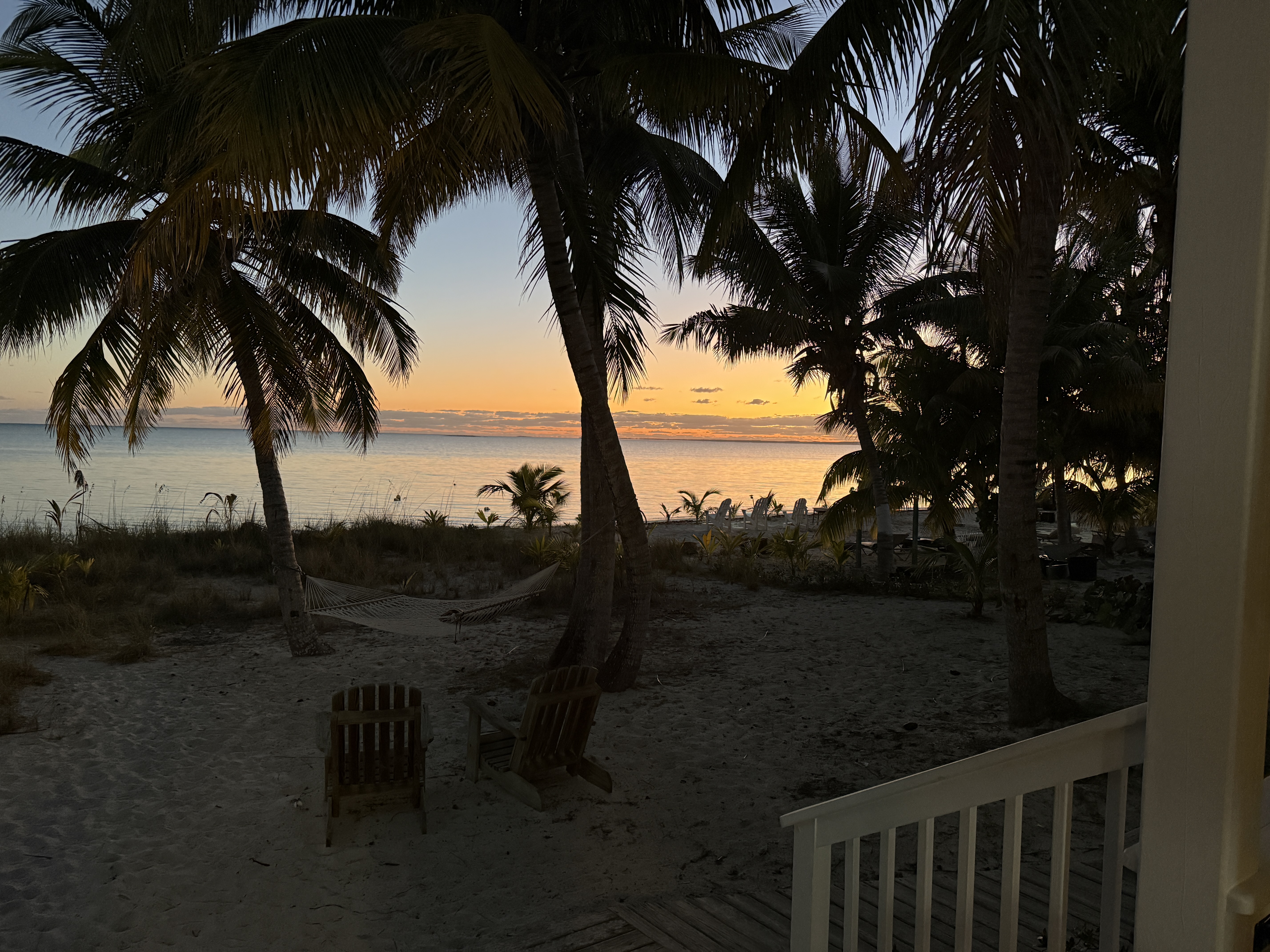Sunset through palm silhouettes from Camp David deck