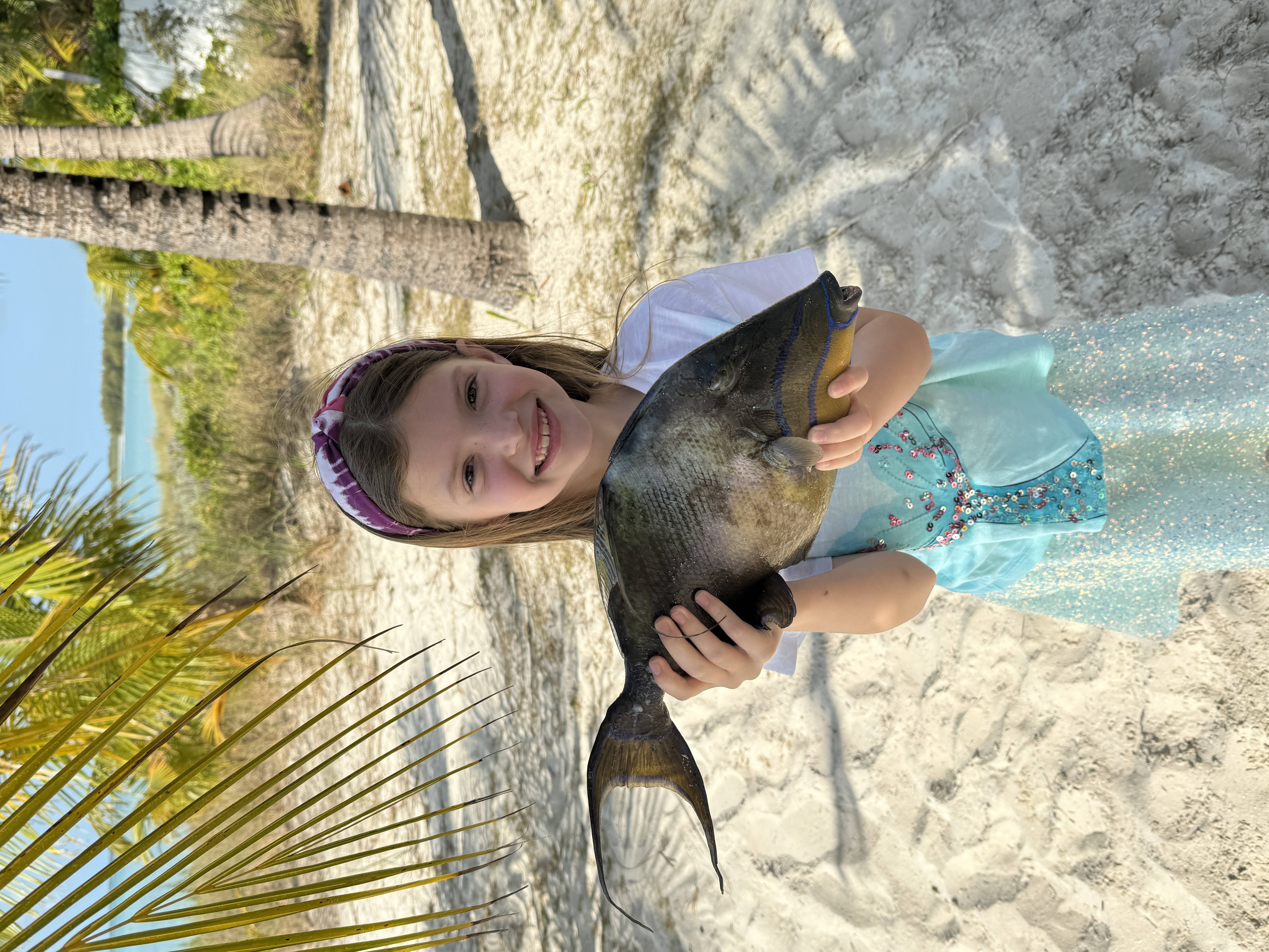 Reef & Bottom Fishing