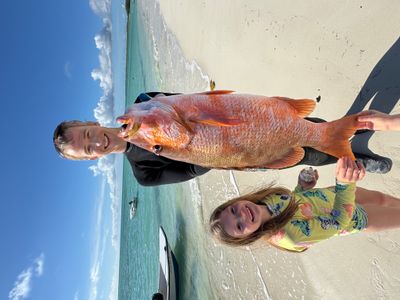 Spearfishing catch of the day