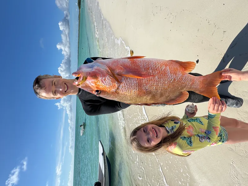 Spearfishing on the reefs in Casuarina