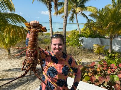 Lobster fishing catch from the reef in Casuarina Point