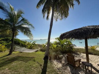 Relax in the hammock under the palm trees...
