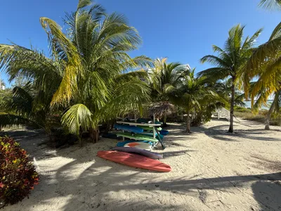 Kayaks and Paddle boards on the rack waiting for you