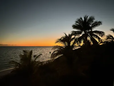 Golden hour at Abaco Palms