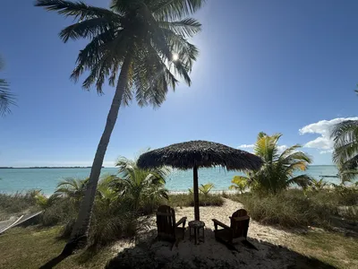 Sit in the shade of the Tiki...