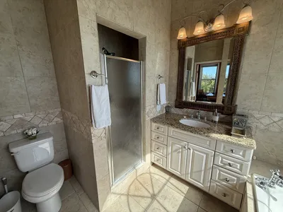 East Master Suite en-suite with walk-in shower and granite vanity