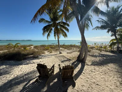 Adirondack chairs in the late afternoon