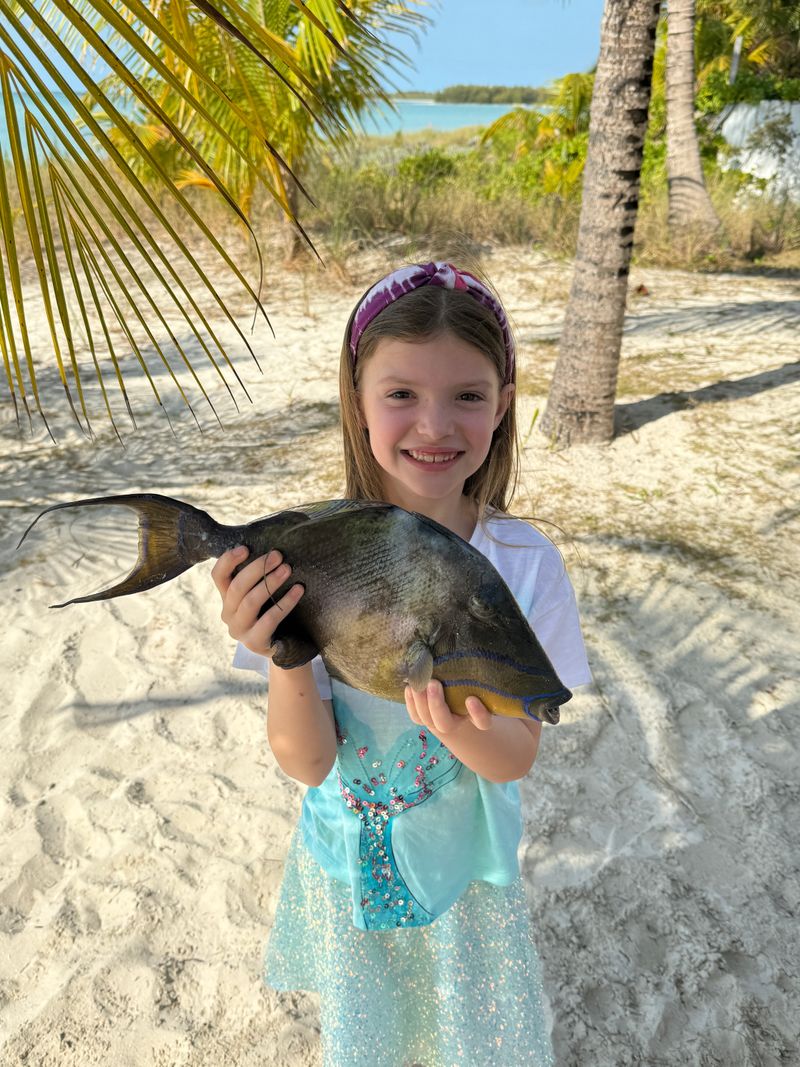 Reef & Bottom Fishing
