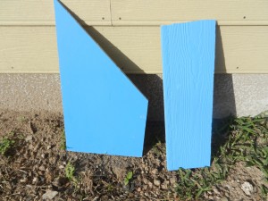 DSCN4604