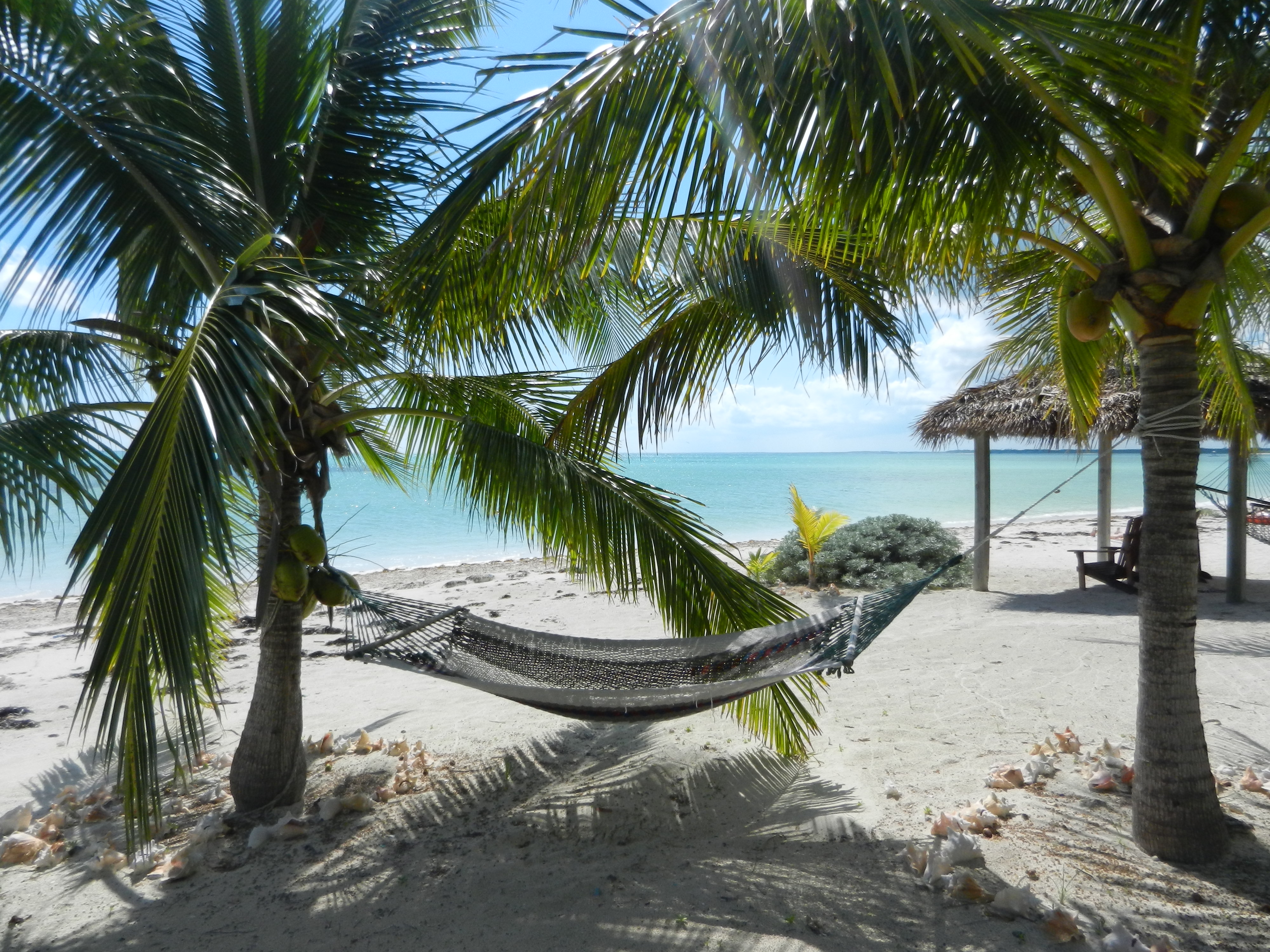 You can relax and enjoy the beach in the hammock under the coconut trees.