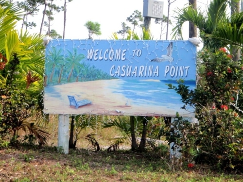 Welcome to Casuarina Point!