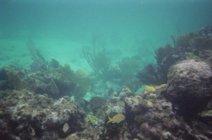 Reef at Casuarina Point (13)