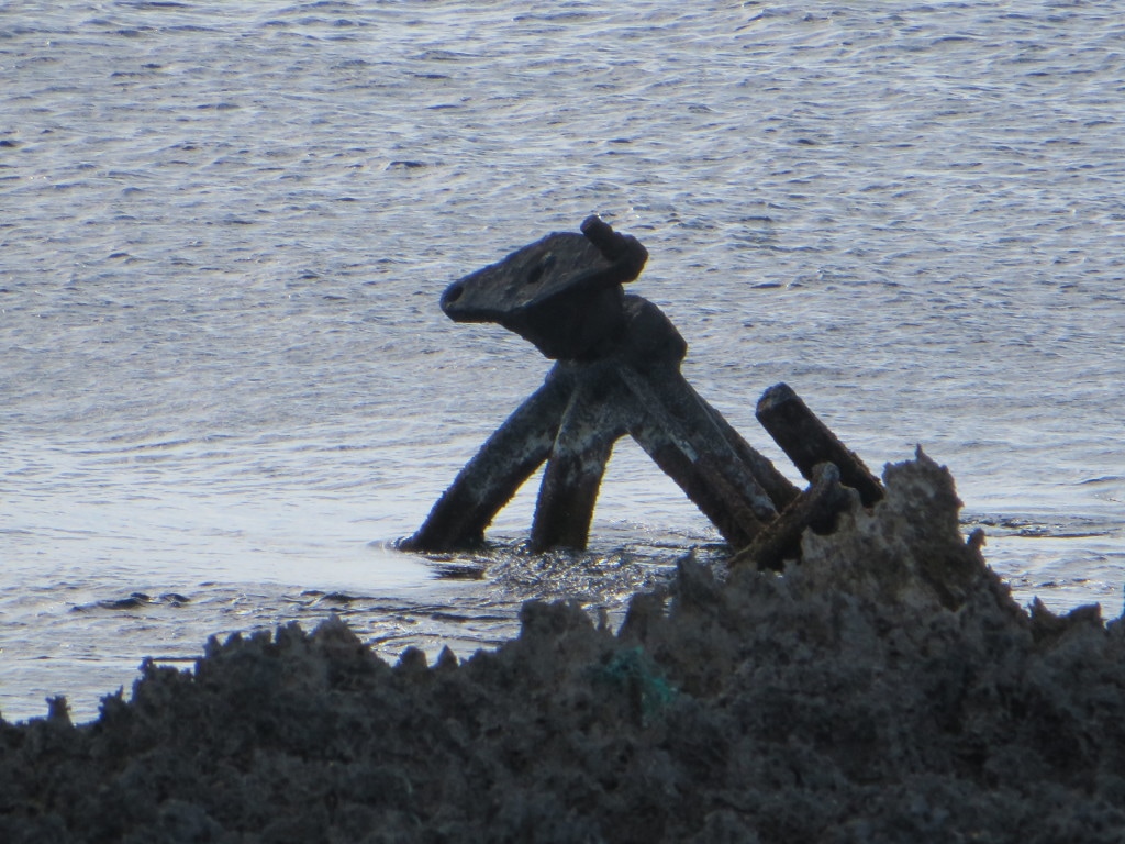 The Bow of the SS Hesleyside Wreck.