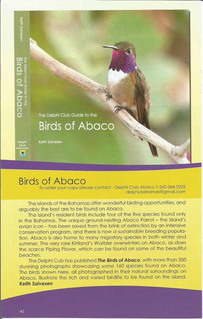 This is an article about the Birds of Abaco from 'Destination Abaco.' The credit for these pictures goes to The Delphi Club. 