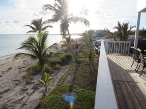 Looking west from the Abaco Palms main deck - notice some of the new sod that survived the storm!