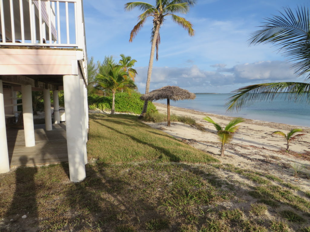 The new sod we planted to help preserve our sand.