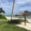 Update: Hurricane Irma in Abaco – Sunday morning Saturday afternoon, September 9th. 20+ mph winds - but you would never know it from these pictures. The sun was shining and it was beautiful.