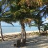 After Hurricane Irma – at Casuarina Point, Abaco, Bahamas West view from the deck of Camp David